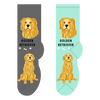 Golden Retriever Canine | Socks