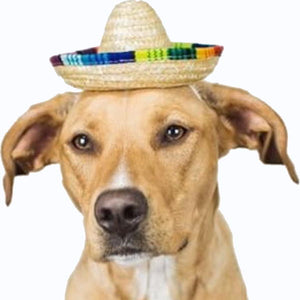 Sombrero | Pet