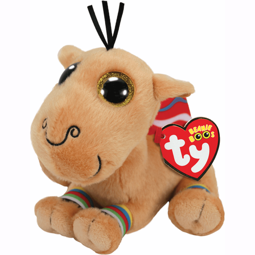 jamal camel