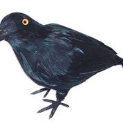 Realistic Crow Prop | Halloween