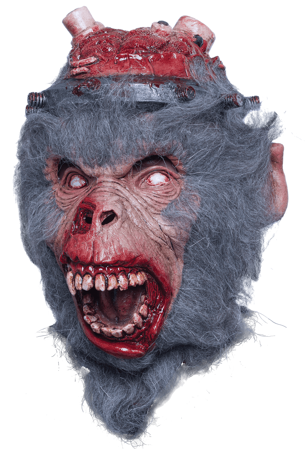 lab monkey mask