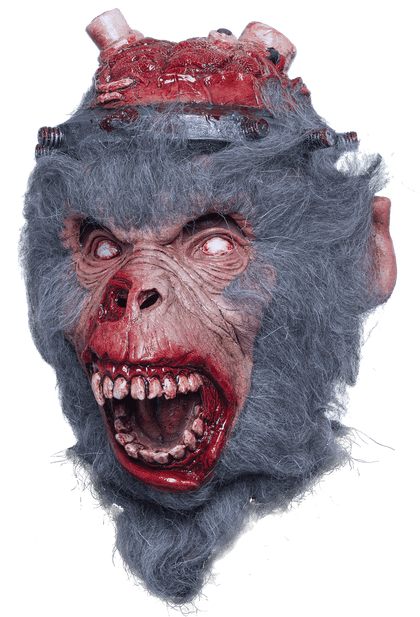 lab monkey mask