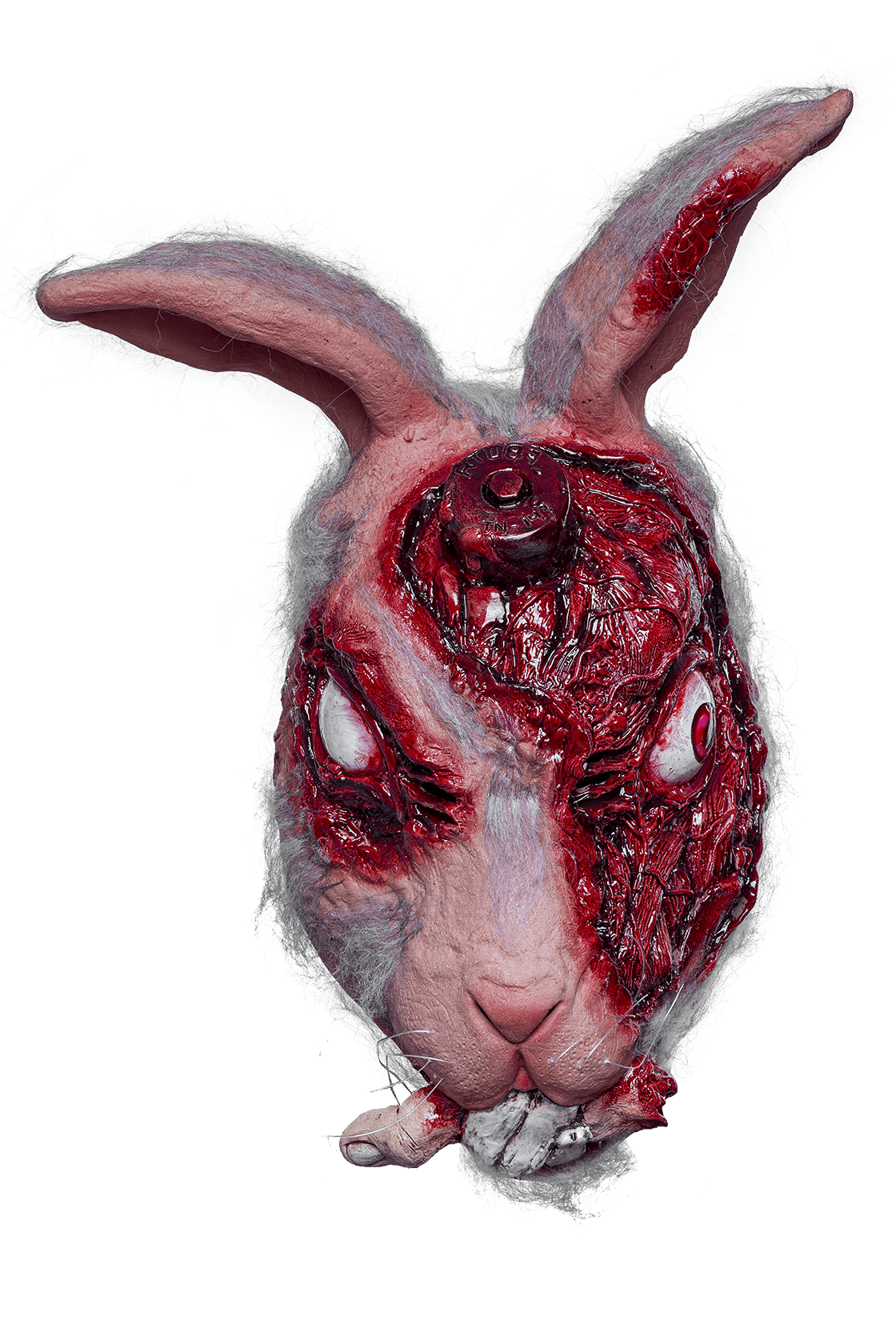 lab bunny mask