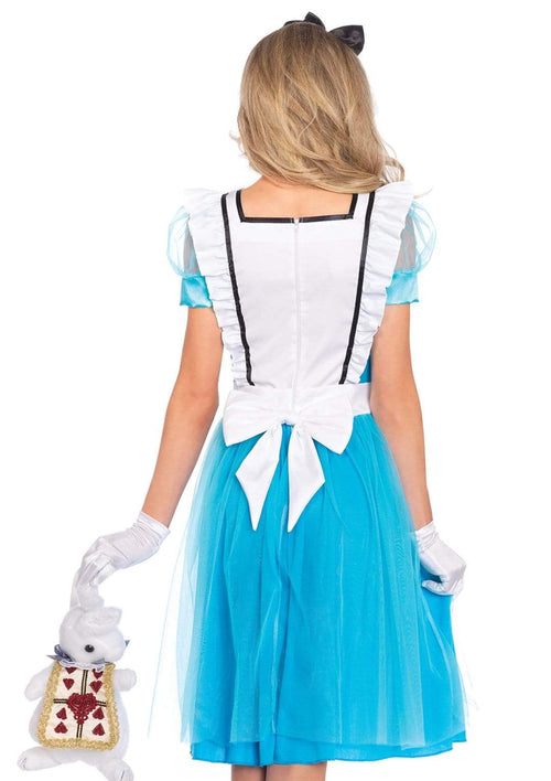Alice in Wonderland Costume