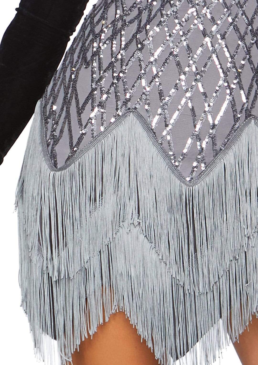 Roaring Roxy Flapper Costume