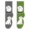Maltese Canine | Socks