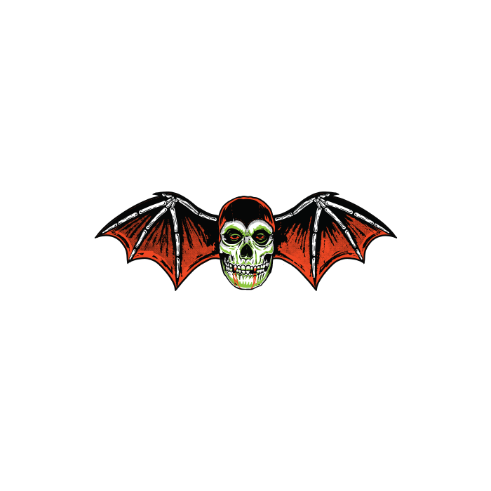 flying skeleton head wings
