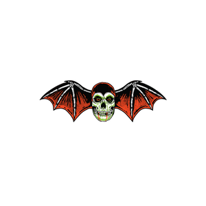 flying skeleton head wings