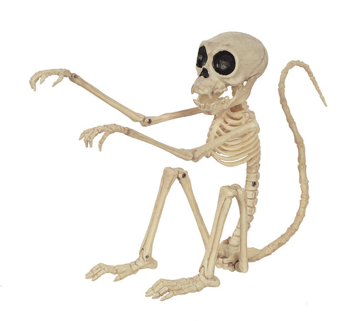 monkey skeleton