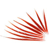 orange pheasant feathers