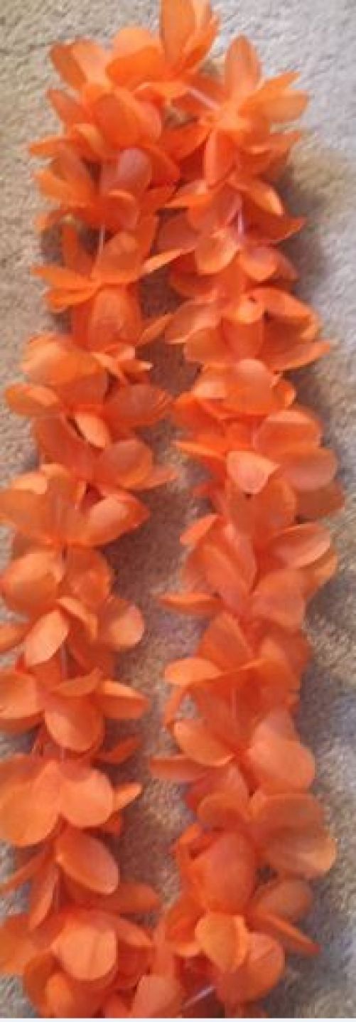 Copy of Copy of Spirit Lei 6ct | Orange