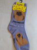 Pekingese Canine | Socks