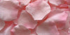 pink rose petals