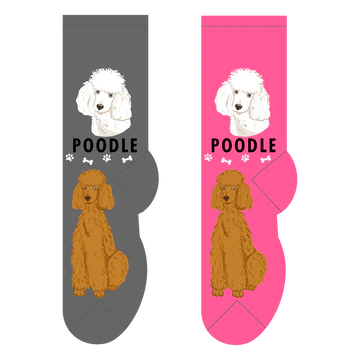 Poodle Canine | Socks