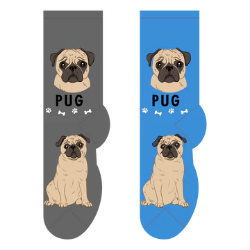 Pug Canine | Socks