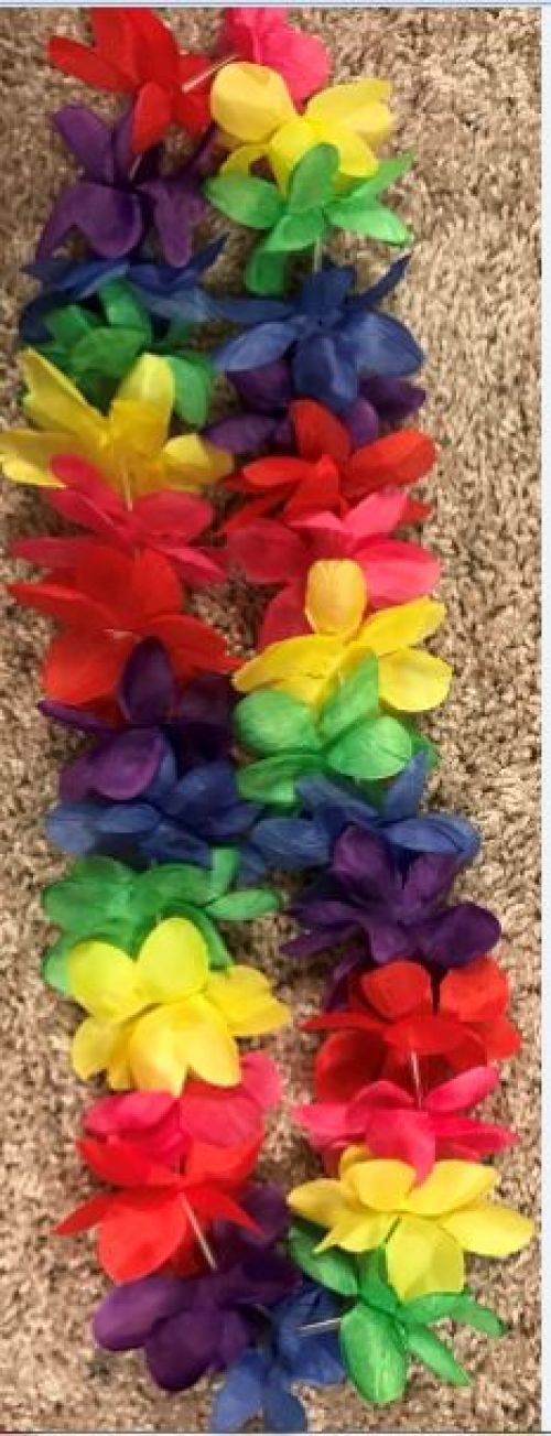 Spirit Lei 6ct | Rainbow