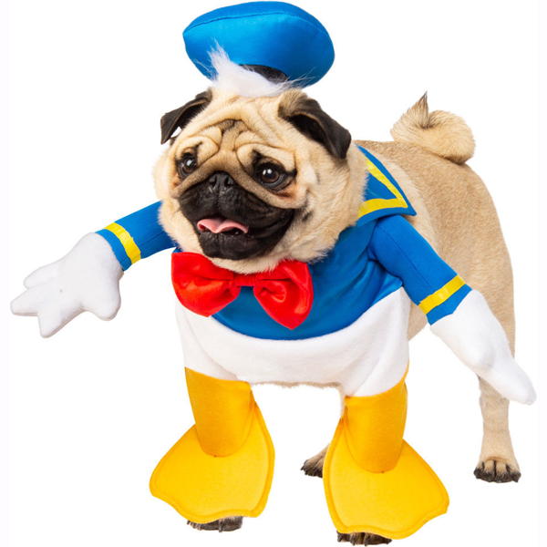 Donald Duck | Pet (Clearance)
