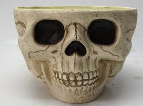 skull bowl