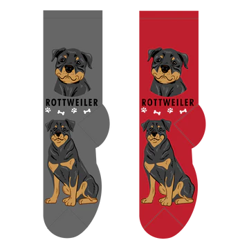 Rottweiler Canine | Socks