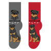 Rottweiler Canine | Socks
