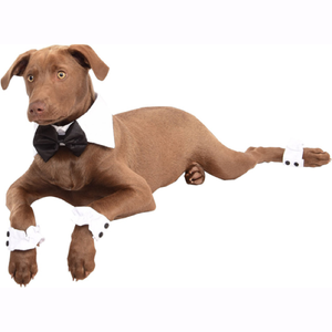Tuxedo Bow Tie & Cuff Set | Pet