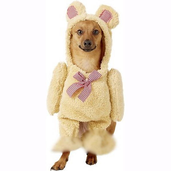 Walking Teddy Bear Costume | Pet (Clearance)