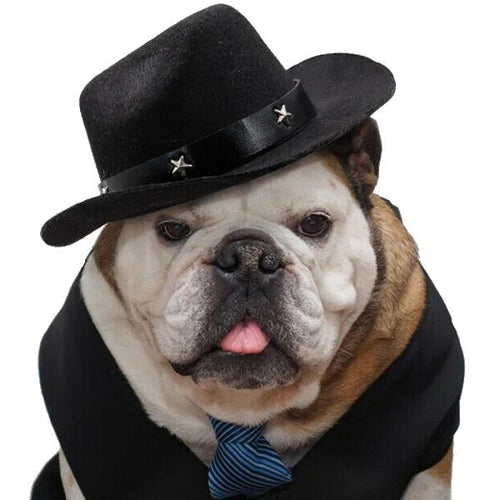 pet costume