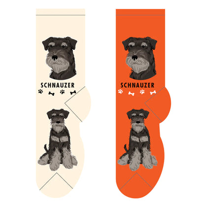 Schnauzer Canine | Socks