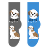 Shih Tzu Canine Collection Socks FCC-36