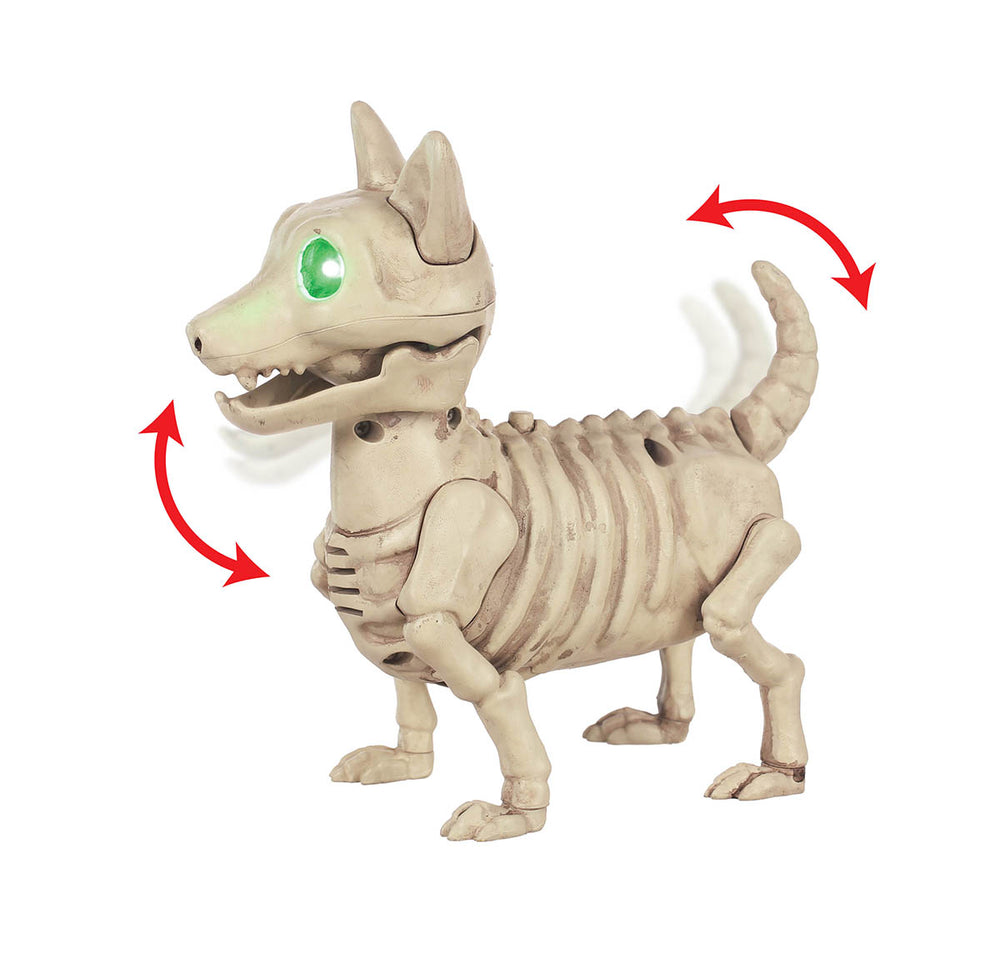 skeleton dog