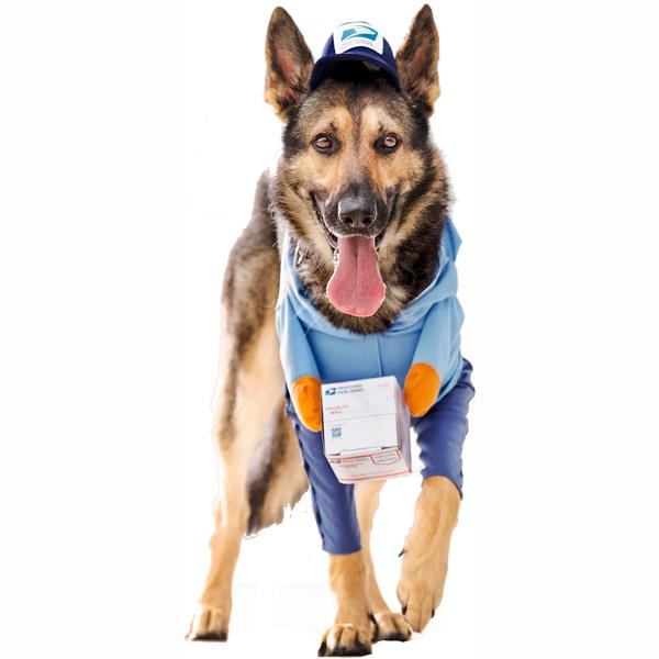 mail carrier pet costume