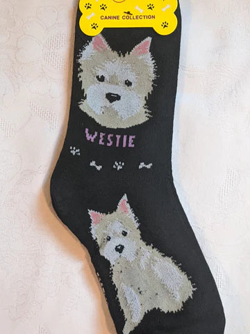 Westie Canine | Socks