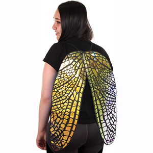 shiny stunning bug wings