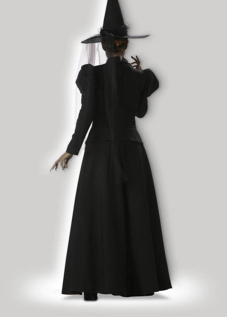 Wicked Witch | Adult