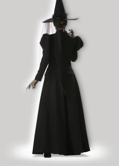 Wicked Witch | Adult