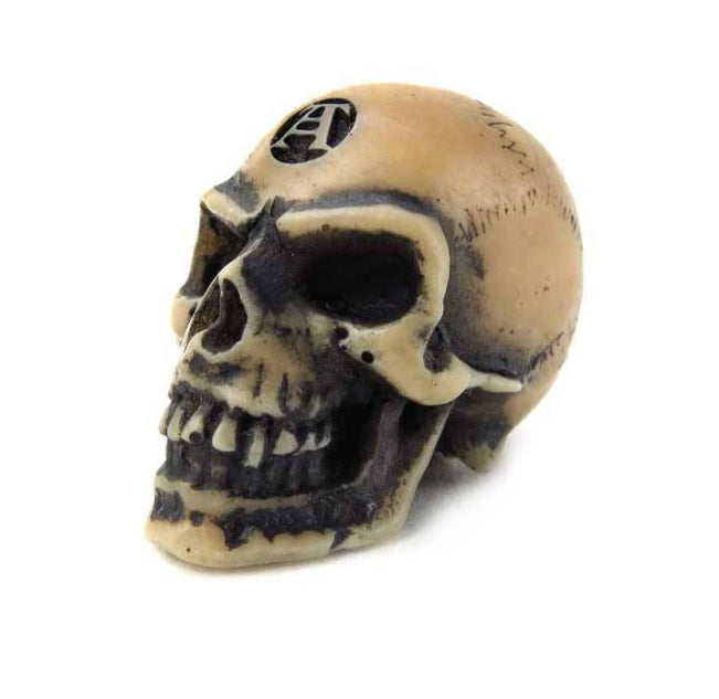 Lapillus Worry Skull | Halloween