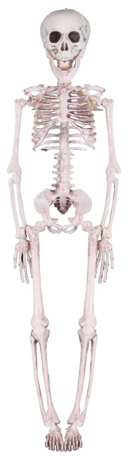 16in Realistic Plastic Skeleton