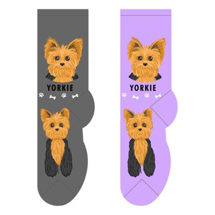Yorkie Canine | Socks